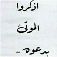 Rayan (@9966lool) 's Twitter Profile