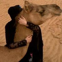 بدوي (@kjhggttt) Twitter profile photo