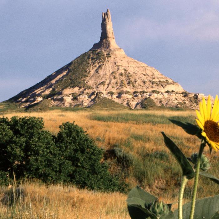 KellyJWerts's profile picture. Father; Husband; @Huskers Fan; @gocreighton Fan