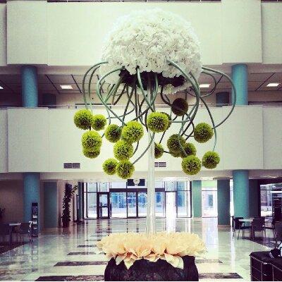 zeena_Ahamid's profile picture. Please God grant me the serenity to accept the things I cannot change, the courage to change the things I can, and the wisdom to know the difference.