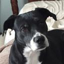 Leah Tyson - @LeahLeahtyson1 - Twitter