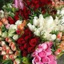 0504352461a (@0504352461a) Twitter