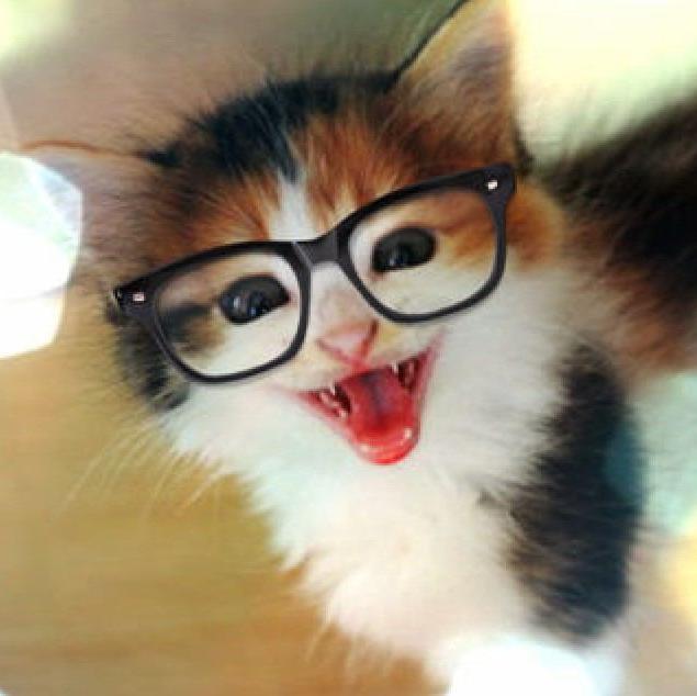 猫・犬の画像をポンポン紹介しちゃいます!!!