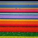 Macey1124 - @AnneMacey - Twitter