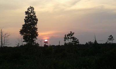 333815830a2d476's profile picture. PENYEMPURNA HODUP