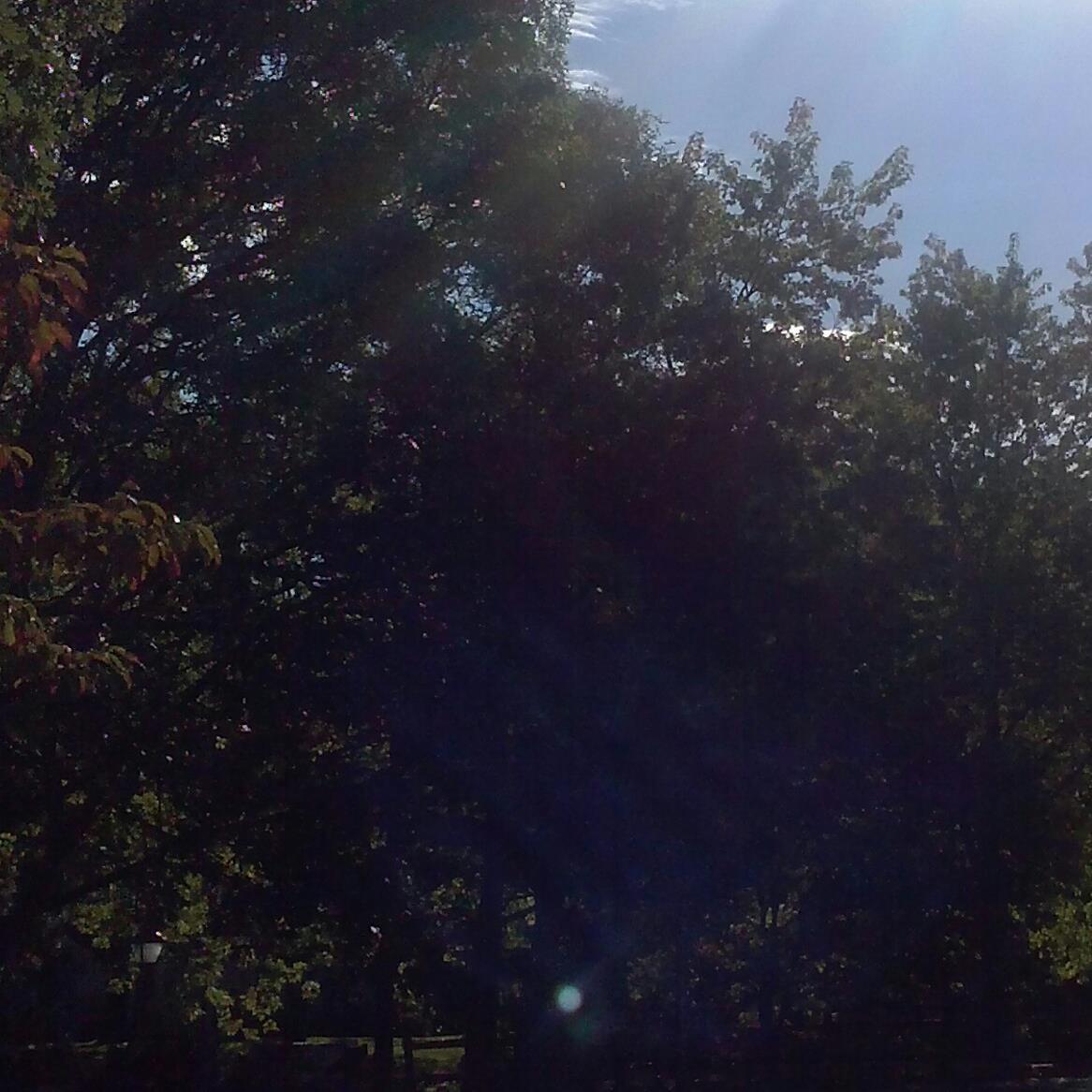 grootiam1978's profile picture. Weddings are basically funerals, w/cake.- Rick Sanchez , Rick and Morty.