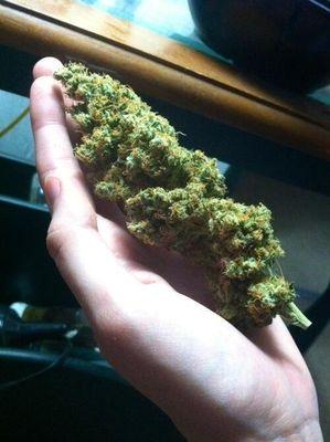 9143c4da710b43b's profile picture. la vida es un  seño pero tambien es un riesgo