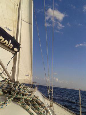 CasonMoyra's profile picture. 