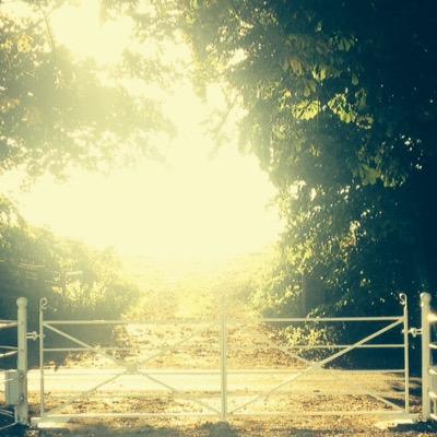 benblackwell's profile picture. 