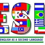 ❝Language is the road map of a culture. It tells you where its people come from and where they are going.❞