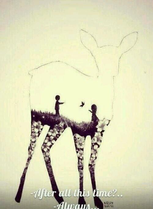 bluecadillac's profile picture. 20,female,future doctor,you?