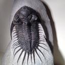 Adam Norman - @vassarjohn - Twitter