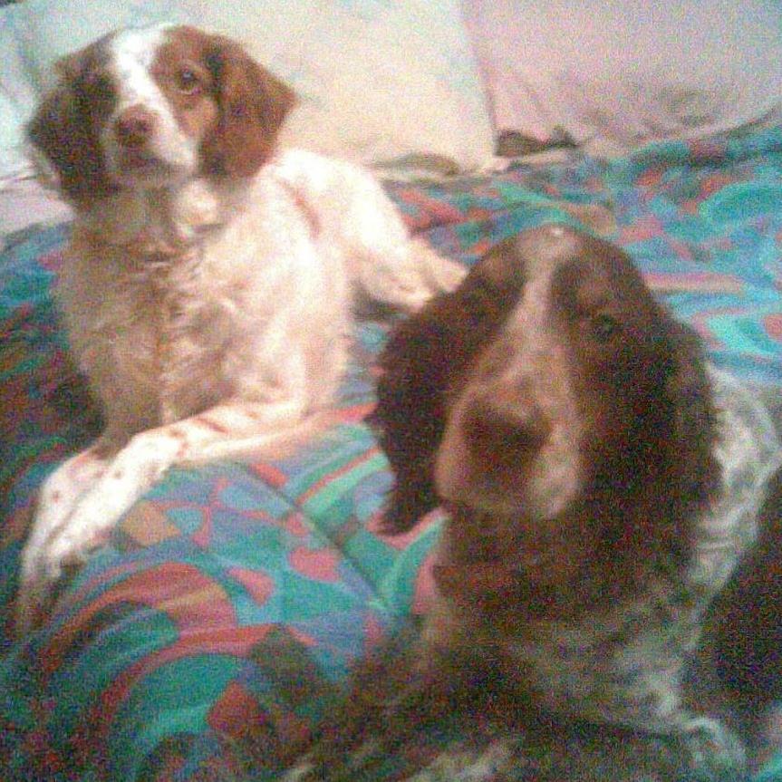 lfbormann's profile picture. 