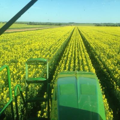 CTF grain grower at Tatyoon Victoria
