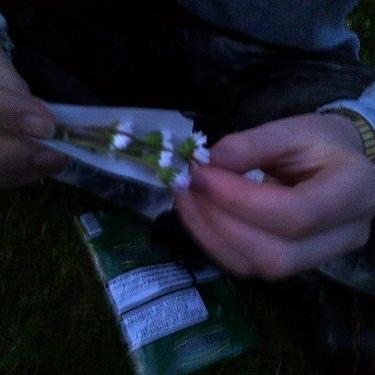 hussam_reda's profile picture. Internet explorer