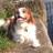 drivingale's profile image