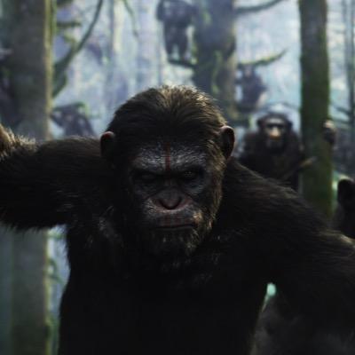 Caesar_The_Ape_'s profile picture. Apes follow Caesar, We reunite. We do not follow Humans.