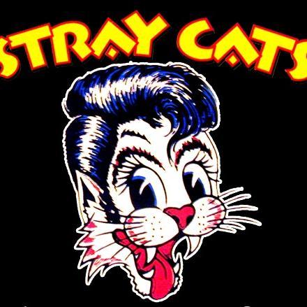 Stray_Cats__'s profile picture. Stray Cats Fan Account