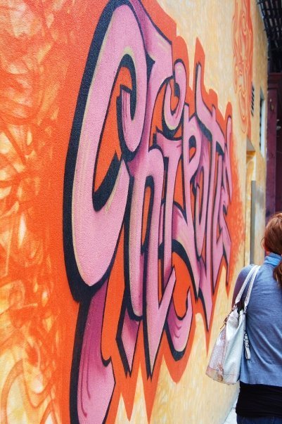 Allison Fischer Profile