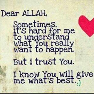 oLa_Frag's profile picture. 