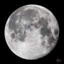 Harry Coe - @TheMoonLovesEgg - Twitter