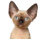 Stewart Powell - @stoobear - Twitter