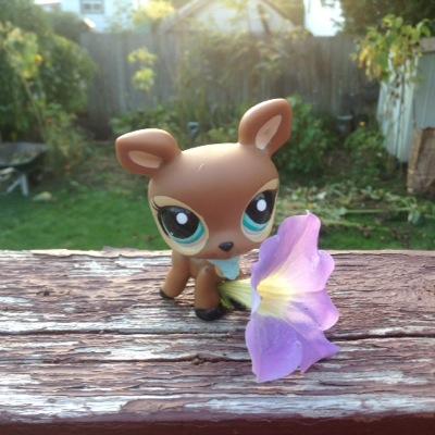 Youtube: LPSMadison Instagram: mdlcv70. I Am Just A Girl Who Plays And Films LPS