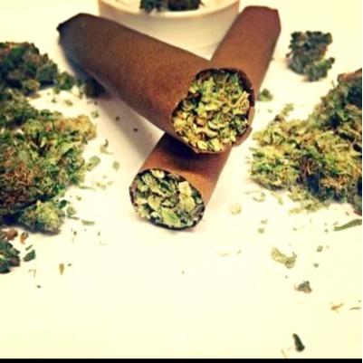 All I do is show you what I do daily so lets all just smoke weed and Inhale the good shit and exhale the bullshit
