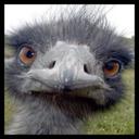 Shade Jones - @shade__jones - Twitter