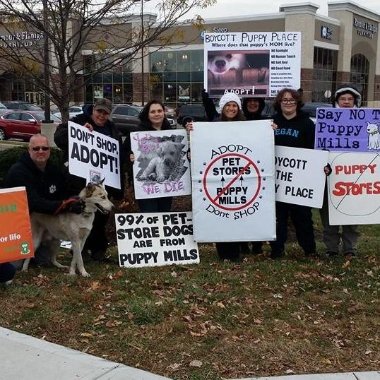 WMARA--Western Mass Animal Rights Advocates