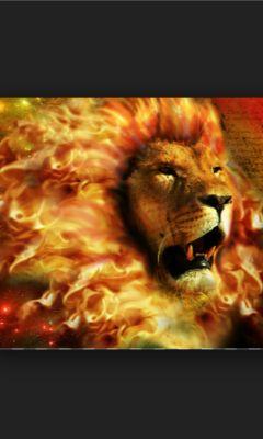 EindTiTa's profile picture. 