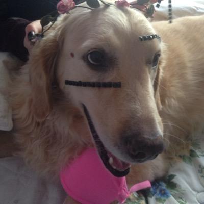 ravegirlpix's profile picture. I'm a raving bitchhhhh