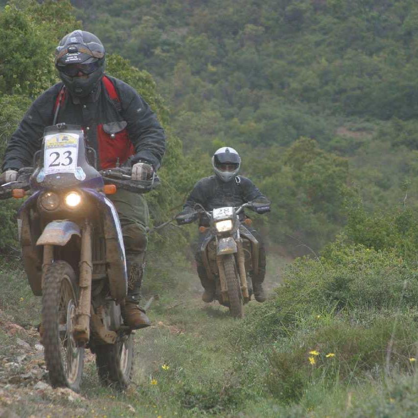 DiCMoraitis's profile picture. 