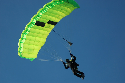 skydivehein's profile picture. Impfspritzengenerator