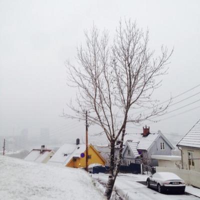 1974Shahid's profile picture. 