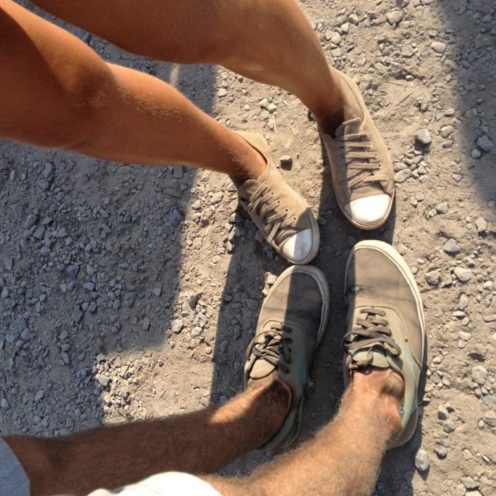 brexinga's profile picture. 