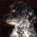 Jane hayden - @janelissy - Twitter