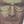 Carlitodopoulus (@carlitopoulus) profile picture