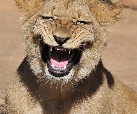 graphyk77's profile picture. In the end, we only regret the changes we didn't make.