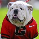 Stefan Jones - @Radbaconbits - Twitter