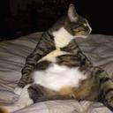 Jen Goodwin - @jebady16 - Twitter