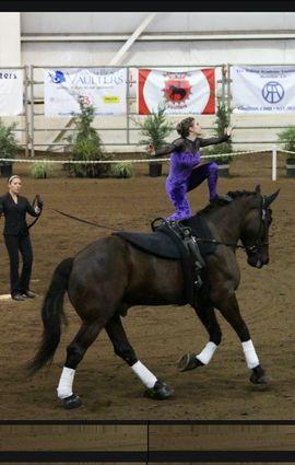 Equestrian vaulter, music is my life, friends make me laugh and Aussie guys make me swoon;)