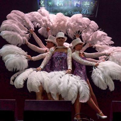 Diana Meijer ShowBizz Dancers. Voor optredens met Allround dancers. Tevens artiestenbegeleiding, concerten en voor evenementen op maat!