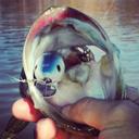 noah hart - @noah3573 - Twitter