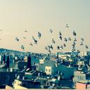 Eren Yar - @ErenYarali - Twitter