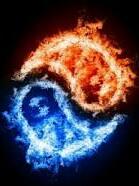 Royal8512's profile picture. 初めましての方、宜しくお願いします！