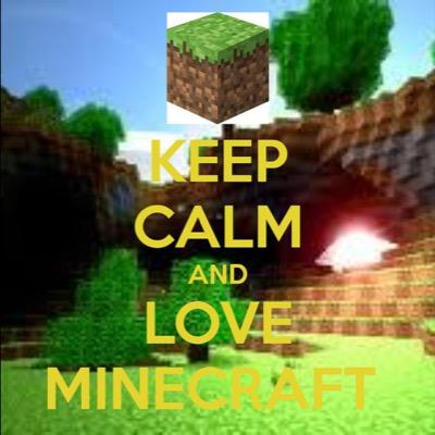 MINECRAFT 
                                                 AND ME