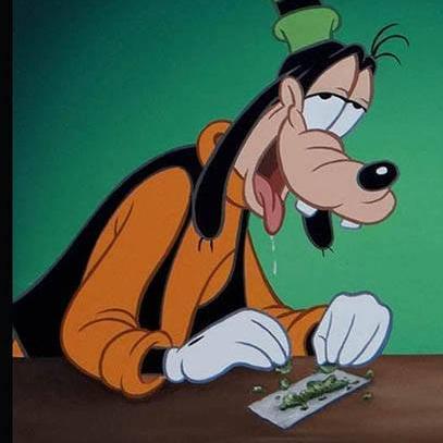 Zuando_Na_Rede's profile picture. Umas doses de humor por dia,não faz mal a ngm u.u