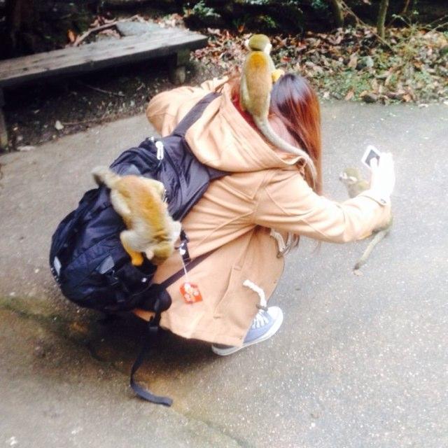 明日もし終わりがきても後悔しないように