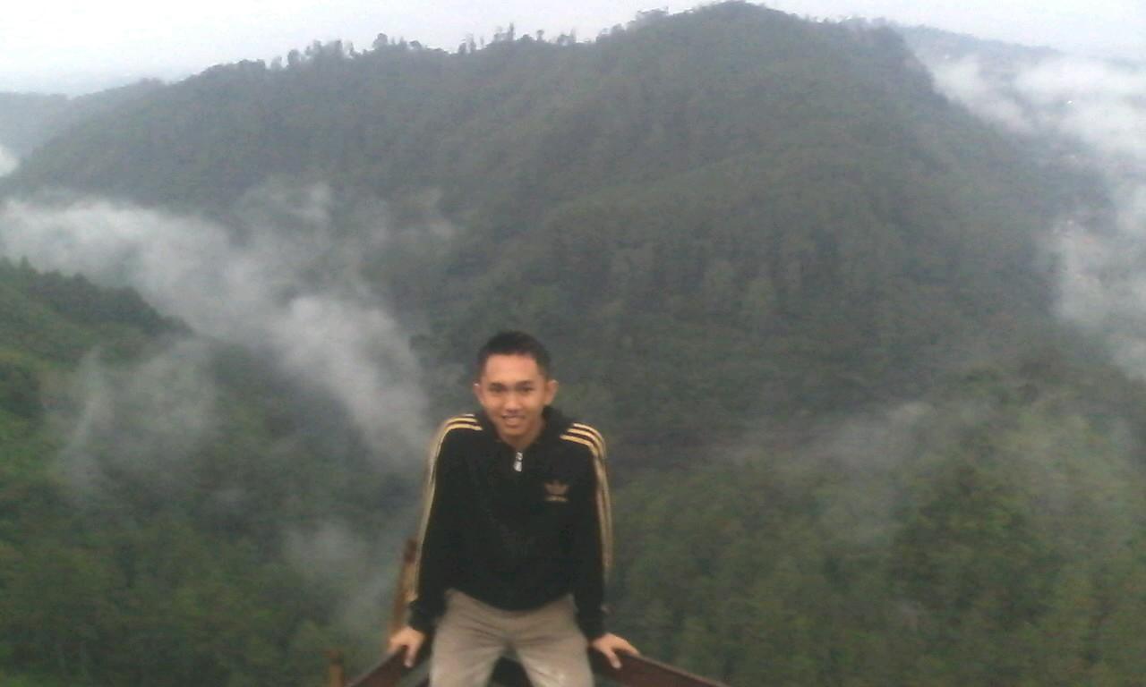 mochraarsi's profile picture. 